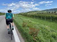 Leiselheim z Jechtingen