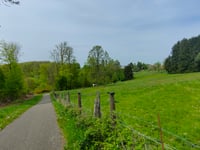 Lemberg von Saint-Louis-les-Bitche