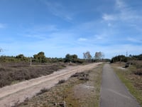 Lemelerberg da Dalmsholte