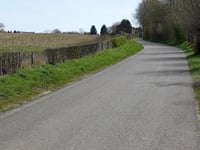 Lemmensstraat depuis Scheulder
