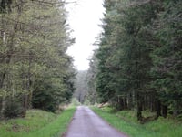Lenkte Schlag von Petergensfeld
