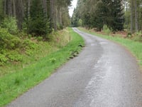 Lenkte Schlag von Petergensfeld