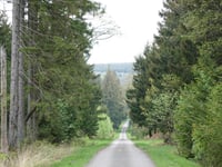Lenkte Schlag von Petergensfeld