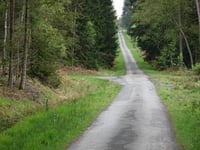 Lenkte Schlag von Petergensfeld