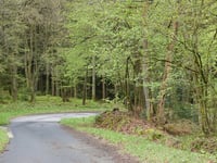 Lenkte Schlag von Steinbach