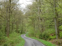 Lenkte Schlag von Steinbach