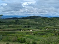 Lenzenberg from Ihringen via Himmelburg