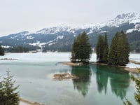 Lenzerheidepass vanuit Chur