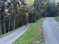 Les Arcs from Bourg Saint Maurice via Bois de Saule
