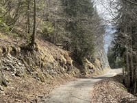 Les Avalanches von Champfromier