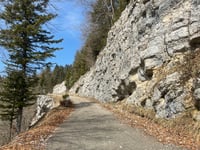 Les Avalanches von Champfromier