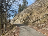 Les Avalanches von Champfromier