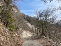 Les Avalanches von Champfromier