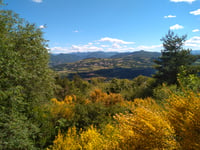 Les Cassés - Montée de Faudon da La Bâtie-Neuve