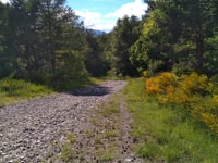Les Cassés - Montée de Faudon da La Bâtie-Neuve