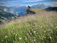 Les Combes von Hauteluce
