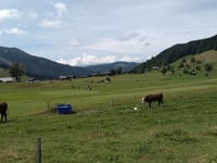 Les Confins von La Clusaz