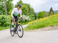 Les Hauts Bois da Ranrupt