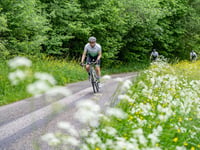 Les Hauts Bois da Ranrupt