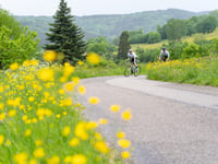 Les Hauts Bois da Ranrupt