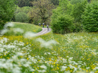 Les Hauts Bois da Ranrupt