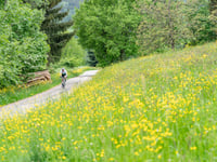 Les Hauts Bois da Ranrupt