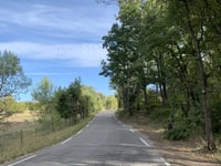 Les Michels