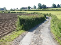 Les Minières von Hodbomont