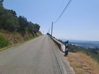 Les Moures da Forcalquier