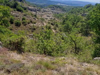 Les Moures da Forcalquier