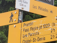 Les Pléiades von Vevey