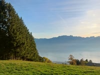 Les Pléiades von Vevey