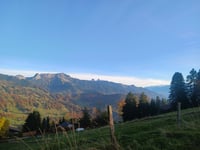 Les Pléiades von Vevey
