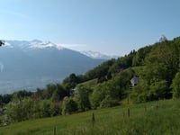 Les Roseaux von Frontenex