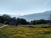 Les Roseaux von Frontenex