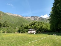 Les Roseaux von Frontenex
