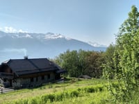 Les Roseaux von Frontenex