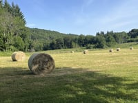 Les Soulières von Onoz