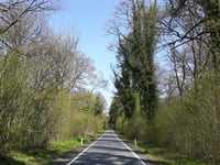 Les Strépys
