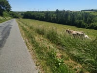 Les Terres Noiseuses von Quilen