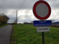 Les Waides