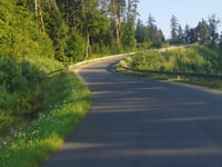 Leśniówka von Świnna Poręba