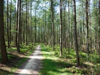 Let de Stigterpad von Valkenheide