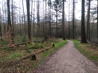 Let de Stigterpad von Valkenheide