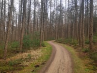 Let de Stigterpad von Valkenheide