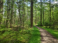 Let de Stigterpad von Valkenheide