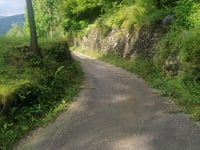 Lezza da Malonno