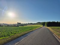 Libeek