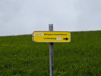 Lichtenberg von Thalham