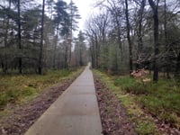 Lierderholt über Oostweg